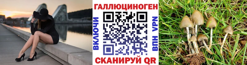 hydra как зайти  Иркутск  Псилоцибиновые грибы ЛСД 